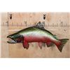 Image 2 : XL Reproduction COHO SALMON Fish Mount in the "Spawning Phase"