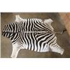 Image 2 : ZEBRA Hide or ZEBRA HIDE RUG