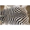 Image 4 : ZEBRA Hide or ZEBRA HIDE RUG