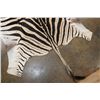 Image 5 : ZEBRA Hide or ZEBRA HIDE RUG