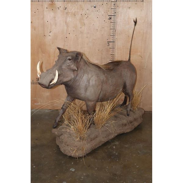 Life-sized WARTHOG on a Habitat Base with Wheels