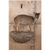 Image 1 : Life-sized BLUE DUIKER on a Rock Wall Base