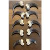 Image 1 : Complete Set of (10) XL GRIZZLY BEAR Front Claws