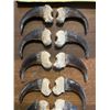 Image 2 : Complete Set of (10) XL GRIZZLY BEAR Front Claws