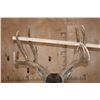 Image 8 : 13-Point MULE DEER Mounted on a Rustic Wood Pedestal