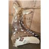 Image 7 : AXIS DEER Pedestal Mount