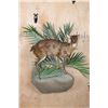 Image 1 : *Rarely Seen" Life-sized BATES"S PYGMY ANTELOPE on a Decorative Wall Base
