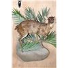Image 2 : *Rarely Seen" Life-sized BATES"S PYGMY ANTELOPE on a Decorative Wall Base