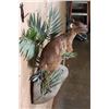 Image 7 : *Rarely Seen" Life-sized BATES"S PYGMY ANTELOPE on a Decorative Wall Base