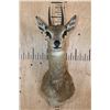 Image 1 : KLIPSPRINGER Shoulder Mount