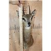 Image 4 : KLIPSPRINGER Shoulder Mount