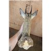 Image 5 : KLIPSPRINGER Shoulder Mount
