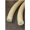 Image 6 : Set of (2) Reproduction ELEPHANT Tusks