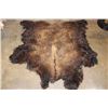 Image 1 : *New* XL BUFFALO Hide or BISON Hide