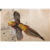 Image 2 : "Flying" GOLDEN PHEASANT Mounted on a Natural Wood Hanging Base