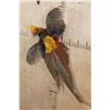 Image 3 : "Flying" GOLDEN PHEASANT Mounted on a Natural Wood Hanging Base
