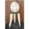 Image 4 : Carved OSTRICH EGG Featuring a Rhinoceros Scene on a HIPPOPOTAMUS Tusk Stand