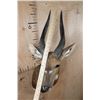 Image 5 : Big BUSHBUCK Shoulder Mount