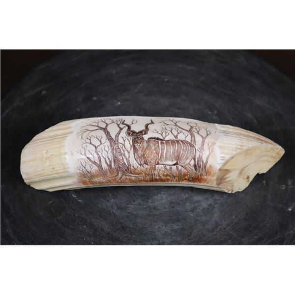 Scrimshawed HIPPOPOTAMUS Tusk Featuring a Kudu by Luciana