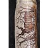Image 3 : Scrimshawed HIPPOPOTAMUS Tusk Featuring a Kudu by Luciana