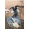 Image 6 : CATALINA GOAT Shoulder Mount