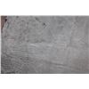 Image 7 : (2) Big and Soft HIPPOPOTAMUS Hide or HIPPO Leather Sections