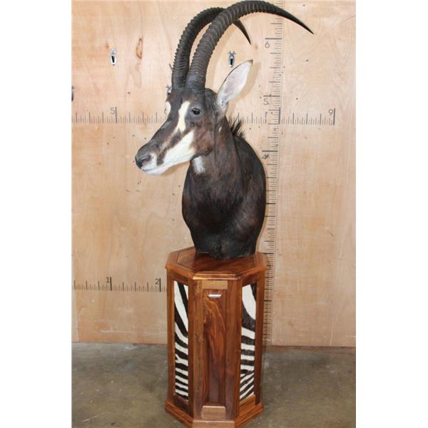 SABLE Pedestal Mount with Zebra Hide Panel Inlays
