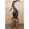 Image 1 : SABLE Pedestal Mount with Zebra Hide Panel Inlays