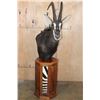Image 3 : SABLE Pedestal Mount with Zebra Hide Panel Inlays