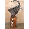 Image 4 : SABLE Pedestal Mount with Zebra Hide Panel Inlays