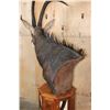 Image 7 : SABLE Pedestal Mount with Zebra Hide Panel Inlays