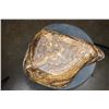 Image 4 : Big Polished Moroccan AMBER ONYX Bowl