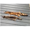 Image 3 : (1) *New* RACCOON or COON Hide and (1) *New* RED FOX Fur or Hide