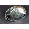 Image 1 : Big Polished Iridescent ABALONE Shell