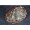 Image 5 : Big Polished Iridescent ABALONE Shell
