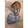 Image 2 : Life-sized RED FLANKED DUIKER on a Rock Wall Hanging Base