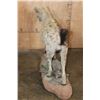 Image 9 : Life-sized African SPOTTED HYENA on a Natural Stationary Base