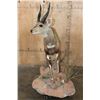 Image 5 : Life-sized BUSHBUCK on a Natural Base
