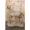 Image 6 : Life-sized BUSHBUCK on a Natural Base