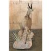 Image 9 : Life-sized BUSHBUCK on a Natural Base