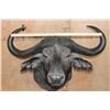 Image 2 : XL CAPE BUFFALO Shoulder Mount