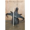 Image 9 : XL CAPE BUFFALO Shoulder Mount