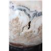 Image 6 : Big Polished SPIRIT STONE Mineral Sphere with an Orthoceras Fossil Stand