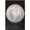 Image 9 : Big Polished SPIRIT STONE Mineral Sphere with an Orthoceras Fossil Stand