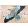 Image 1 : *Rarely Seen* "Flying" EUROPEAN ROLLER BIRD