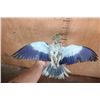 Image 7 : *Rarely Seen* "Flying" EUROPEAN ROLLER BIRD