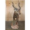 Image 6 : XXL Life-sized SITATUNGA on a Natural Base