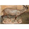 Image 8 : XXL Life-sized SITATUNGA on a Natural Base