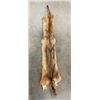 Image 3 : *New* Soft and Tanned BRUSH WOLF or COYOTE Fur, Skin, or Hide