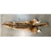 Image 4 : *New* Soft and Tanned BRUSH WOLF or COYOTE Fur, Skin, or Hide